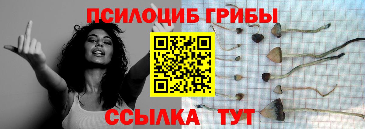 Чехов  Псилоцибиновые грибы Psilocybe  Галлюциногенные грибы ЛСД  Вход с VPN 